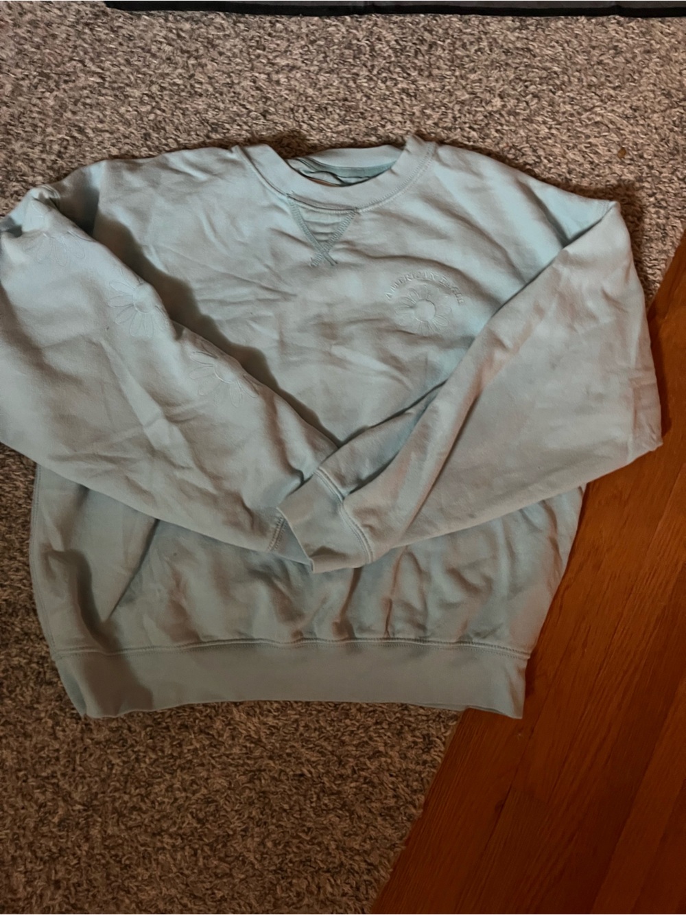 Women’s American Eagle Light Blue Crewneck Sweatshirt